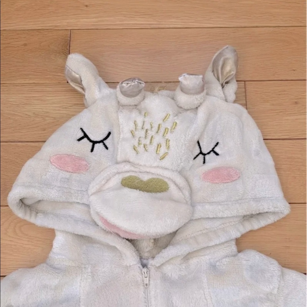 adult onesie